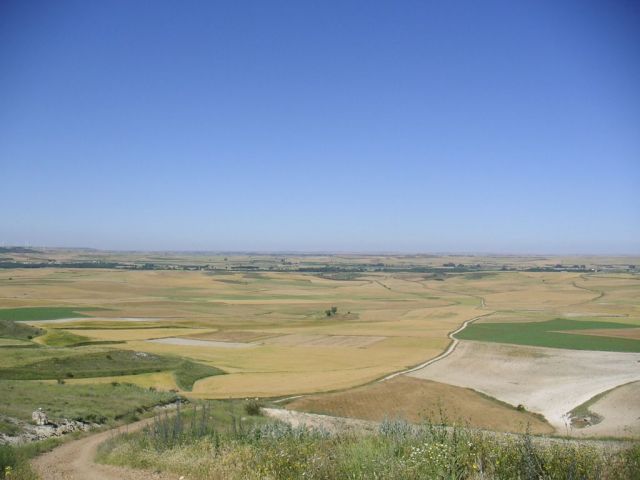 Meseta bei Itero de la Vega